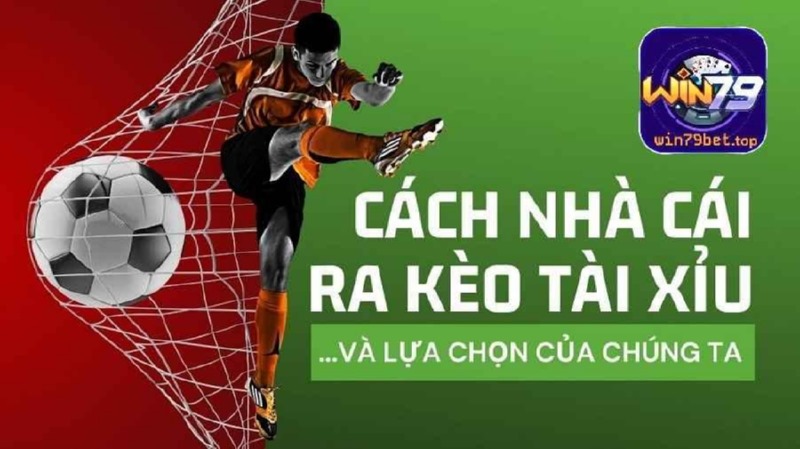 Cách nhà cái ra kèo dựa trên thông tin định lượng và định tính